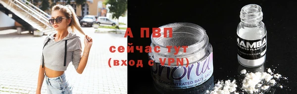 apvp Алексин