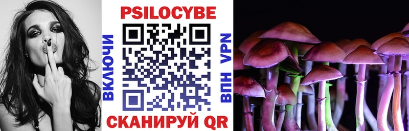 blacksprut рабочий сайт  магазин  наркотиков  Сенгилей  Галлюциногенные грибы мицелий 